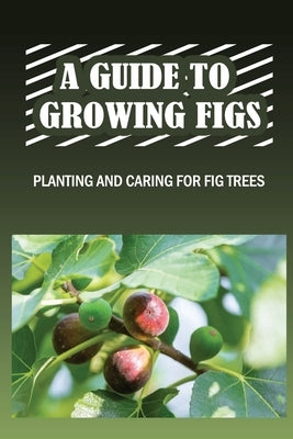 A Guide To Growing Figs: Planting And Caring For Fig Trees: Growing Fig Trees In Containers by Linea, Johnathan