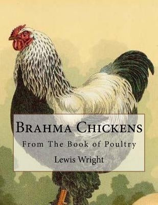 Brahma Chickens: From The Book of Poultry by Chambers, Jackson