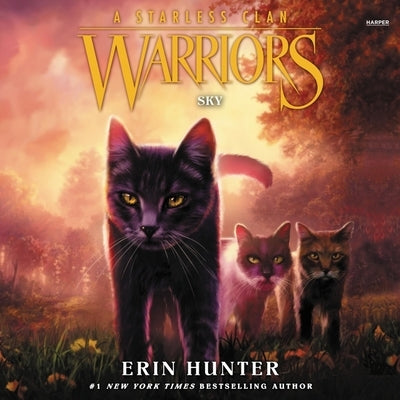 Warriors: A Starless Clan #2: Sky by Hunter, Erin