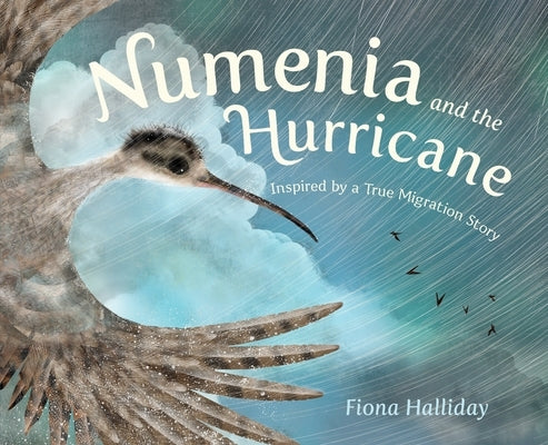 Numenia and the Hurricane: Inspired by a True Migration Story by Halliday, Fiona
