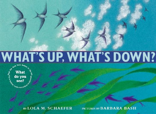 What's Up, What's Down? by Schaefer, Lola M.