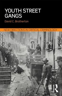 Youth Street Gangs: A critical appraisal by Brotherton, David C.