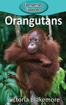 Orangutans by Blakemore, Victoria