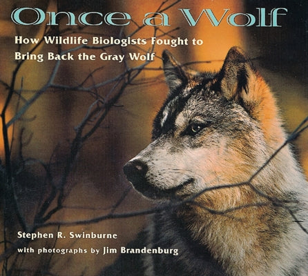 Once a Wolf: How Wildlife Biologists Fought to Bring Back the Gray Wolf by Swinburne, Stephen