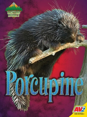 Porcupine by Webster, Christine