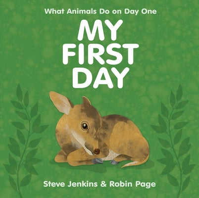 My First Day by Jenkins, Steve