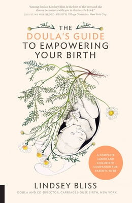 The Doula's Guide to Empowering Your Birth: A Complete Labor and Childbirth Companion for Parents to Be by Bliss, Lindsey