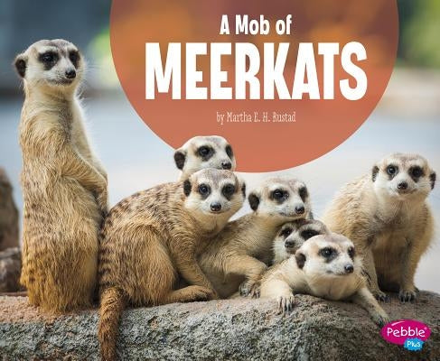A Mob of Meerkats by Rustad, Martha E. H.