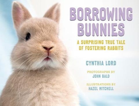Borrowing Bunnies: A Surprising True Tale of Fostering Rabbits by Lord, Cynthia