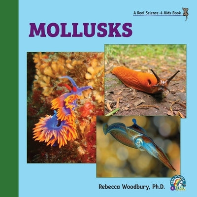 Mollusks by Woodbury, Rebecca