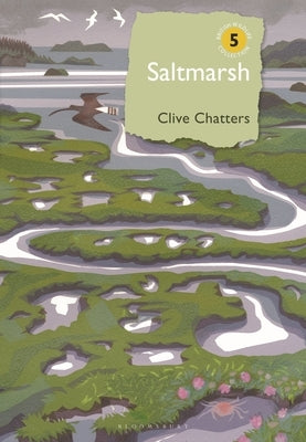 Saltmarsh by Chatters, Clive