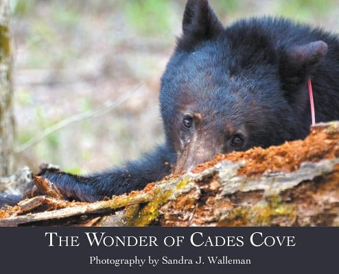 The Wonder of Cades Cove by Walleman, Sandra J.