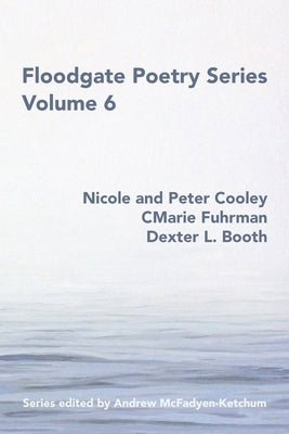 Floodgate Series Volume 6 by Cooley, Nicole and Peter