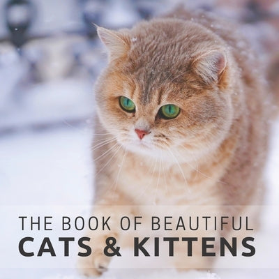 The Book of Beautiful Cats & Kittens: Picture Book For Seniors With Dementia (Alzheimer's) by Pretty Pine Press