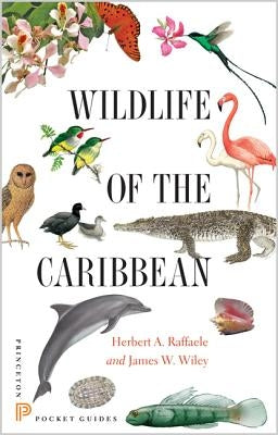 Wildlife of the Caribbean by Raffaele, Herbert A.