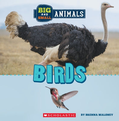 Big and Small: Birds (Wild World) by Maloney, Brenna