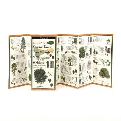 Sibley's Common Trees of Trails & Forests of the Mid-Atlantic & Midwest by Sibley, David