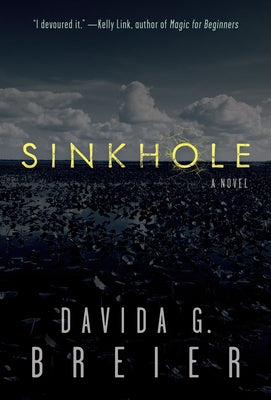 Sinkhole by Breier, Davida