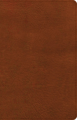 CSB Thinline Bible, Burnt Sienna Leathertouch by Csb Bibles by Holman