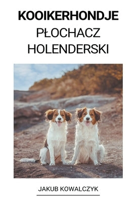 Kooikerhondje (Plochacz Holenderski) by Kowalczyk, Jakub