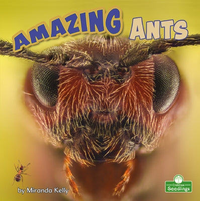 Amazing Ants by Kelly, Miranda