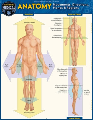 Anatomy - Directions, Planes, Movements & Regions: A Quickstudy Laminated Reference Guide by Perez, Vincent