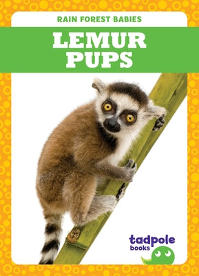 Lemur Pups by Nilsen, Genevieve