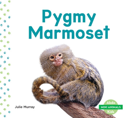 Pygmy Marmoset by Murray, Julie