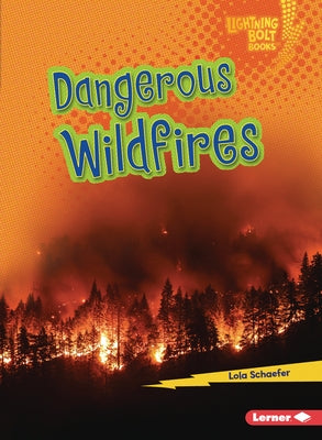 Dangerous Wildfires by Schaefer, Lola