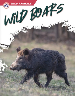Wild Boars by Wilson, Libby
