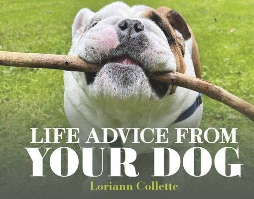 Life Advice from Your Dog by Collette, Loriann