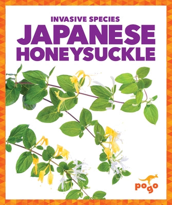 Japanese Honeysuckle by Klepeis, Alicia Z.