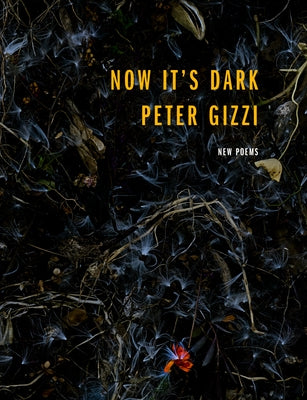 Now It's Dark by Gizzi, Peter