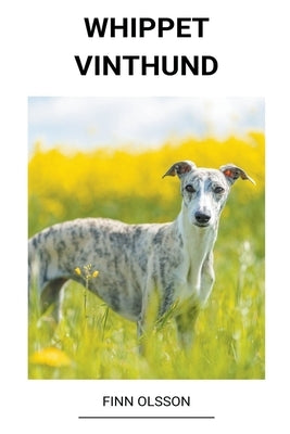 Whippet (Vinthund) by Olsson, Finn