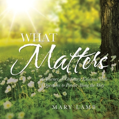 What Matters: A Journey of Ordinary Existence with Questions to Ponder Along the Way by Lamb, Mary