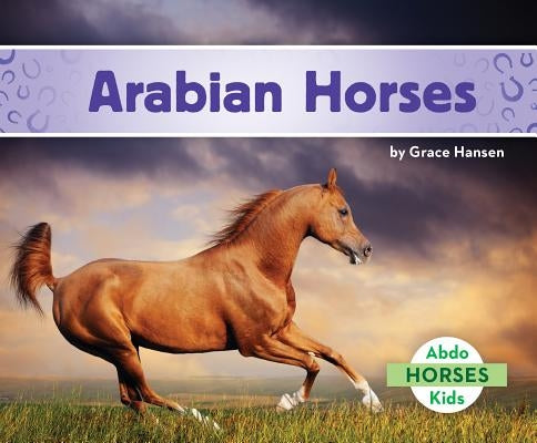 Arabian Horses by Hansen, Grace
