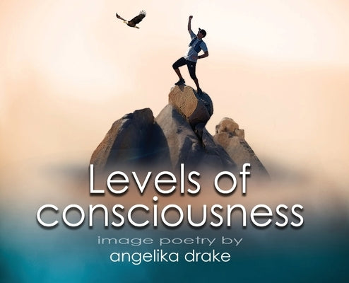 Levels of Consciousness by Drake, Angelika