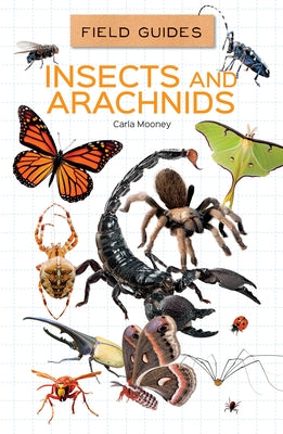 Insects and Arachnids by Mooney, Carla