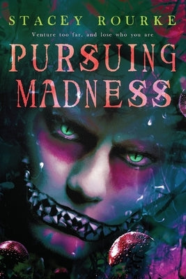 Pursuing Madness by Rourke, Stacey