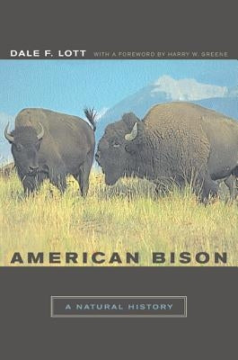 American Bison: A Natural History by Lott, Dale F.