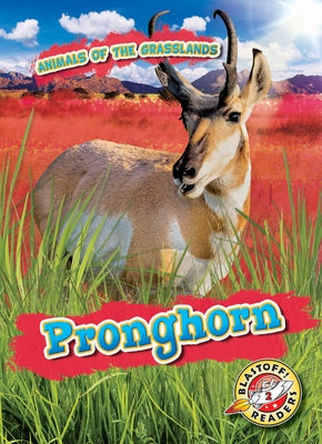 Pronghorn by Duling, Kaitlyn