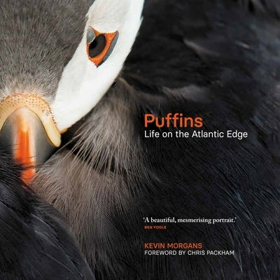Puffins: Life on the Atlantic Edge by Morgans, Kevin