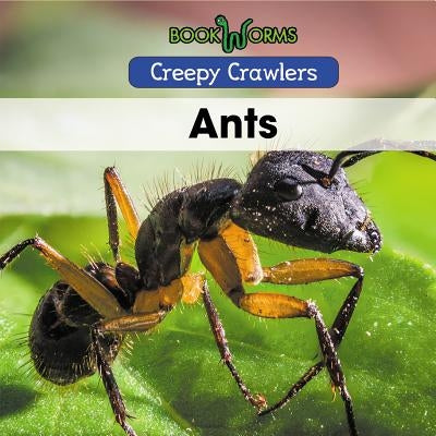 Ants by Abraham, Anika