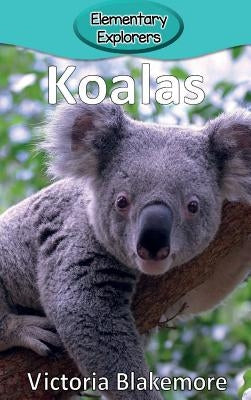 Koalas by Blakemore, Victoria