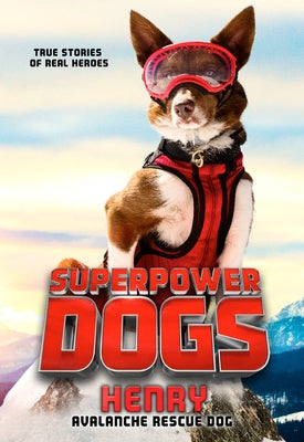 Superpower Dogs: Henry: Avalanche Rescue Dog by Cosmic