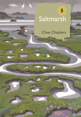 Saltmarsh by Chatters, Clive