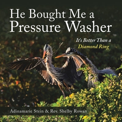 He Bought Me a Pressure Washer: It's Better Than a Diamond Ring by Stein, Adinamarie