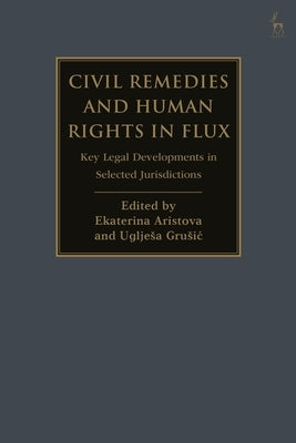 Civil Remedies and Human Rights in Flux: Key Legal Developments in Selected Jurisdictions by Aristova, Ekaterina