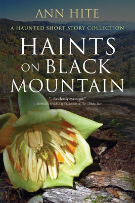 Haints on Black Mountain: A Haunted Short Story Collection by Hite, Ann