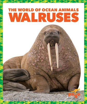 Walruses by Schuh, Mari C.